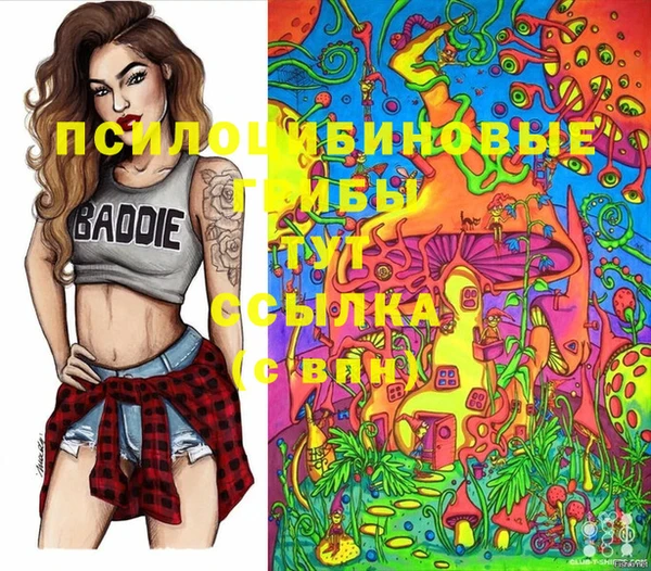 тгк Аркадак