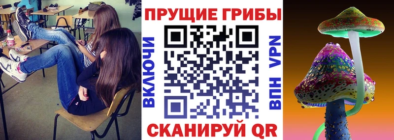 Галлюциногенные грибы Cubensis  купить наркоту  кракен вход  Уяр 